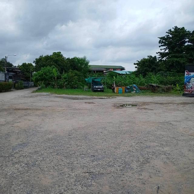 ถมที่แล้ว 463 ตรว. กรุงเทพ เขต.บางแค  2