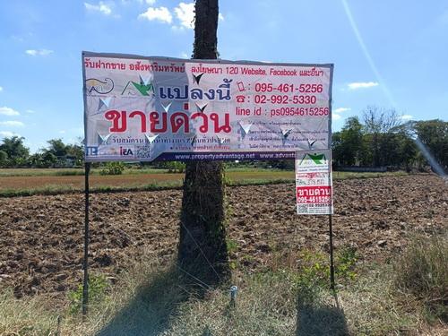 ขายที่ดิน 3 งาน 78.0 ตรว. ต.ขามทะเลสอ อ.ขามทะเลสอ จ.นครราชสีมา 1