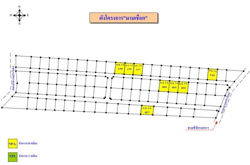 💙 ที่ดิน ธงชัยเหนือ ราคาพิเศษ! 💙 9