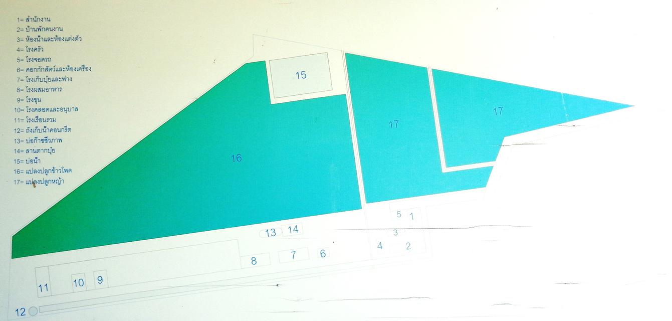🚩 ขายที่ดิน พร้อมฟาร์มปศุสัตว์โครงสร้างครบ ขนาด 26 – 3 -19 ไร่ ตำบลสระจระเข้ อำเภอด่านขุนทด นครราชสีมา 10