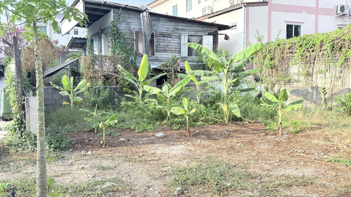 ที่ดิน 50 ตรว. พหลโยธิน 58 แยก 53 5