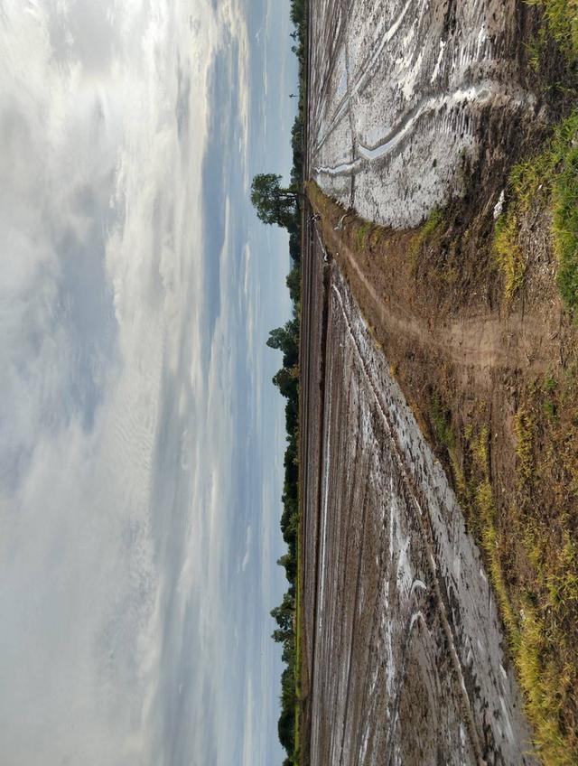 ขายที่ดิน 3 แปลง จังหวัดชัยนาท 6