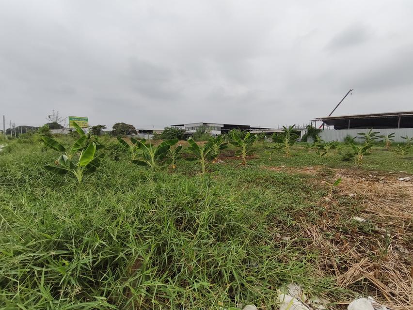 ที่ดินขนาด 100-200 ตารางวา ถ.พัฒนาการ เขตประเวศ 1