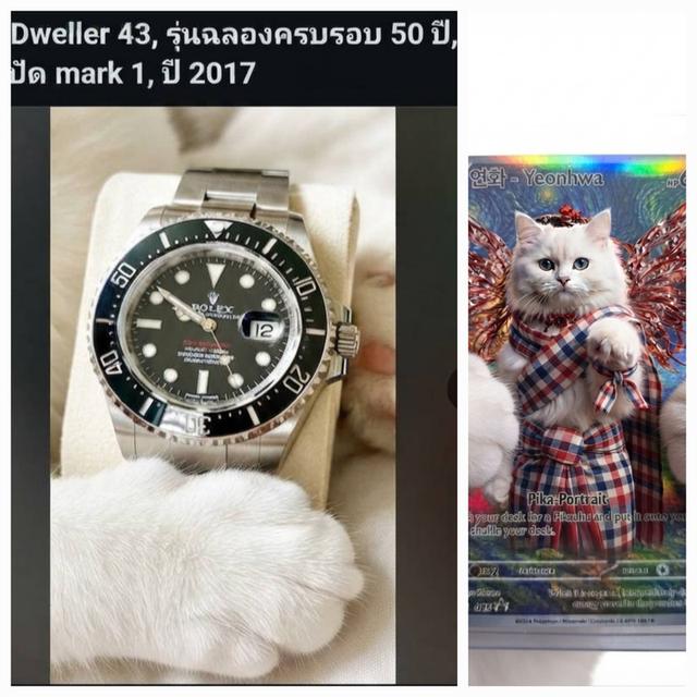 GreencardTech X rolax wach 50year รูปย่อยที่ 3