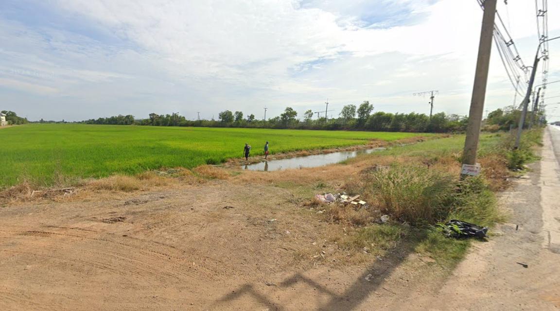 ขายที่ดินเปล่า สีม่วงลาย ฉะเชิงเทรา 6