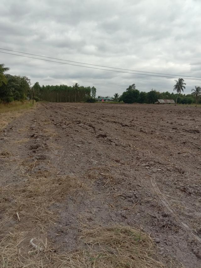 ขายที่ดินบ่อทองชลบุรี 15 ไร่ 3 งาน 73 ตรว 5