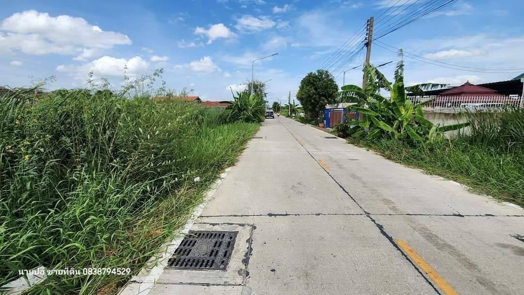 Vายด่วนที่ดินคลองสอง  363 ตารางวา ติดถนนคอนกรีตสาธารณะ  ซอยแก้วบาง อ.คลองหลวง จ.ปทุมธานี 9