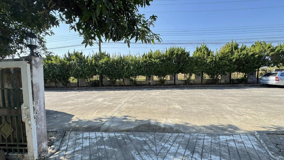 🏡 บ้านเดี่ยว 2 ชั้น หลังใหญ่ 90 ตรว. 3 นอน 3 น้ำ 30,000.-/เดือน (รวมส่วนกลาง+รับสัตว์เลี้ยงเล็ก) 🐶 15