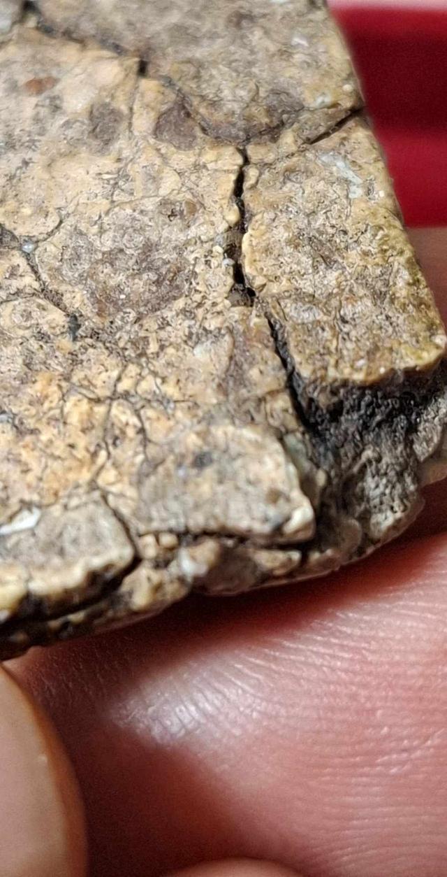 พระสมเด็จวัดบางขุนพรหม รูปที่ 3