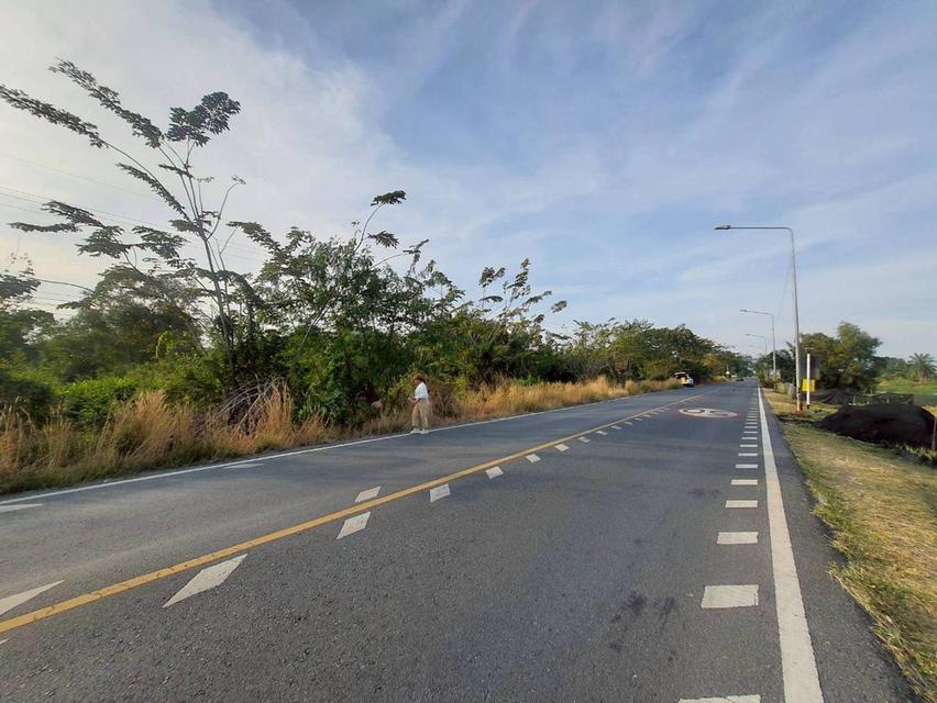 Vายถูกที่สุด ที่ดินติดถนนเลียบคลองสิบสี่  2 ไร่ ทำเลดี มีอนาคต นักลงทุนไม่ควรพลาด อ.หนองเสือ จ.ปทุมธานี 6