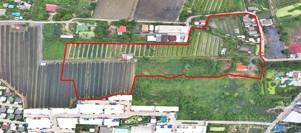 ขายที่ดิน 23 ไร่ อนาคตดีใกล้ตัดใหม่กัลปพฤกษ์-กระทุ่มแบน พุทธสาครและเศรษฐกิจ ในราคาที่จับต้องได้ - KK1946S 3