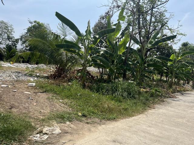 ขายที่ดินแปลง สี่เหลียม ซอย บางโปรง 2 ตำบลบางโปรง อำเภอ เมือง จังหวัดสมุทรปราการ 8