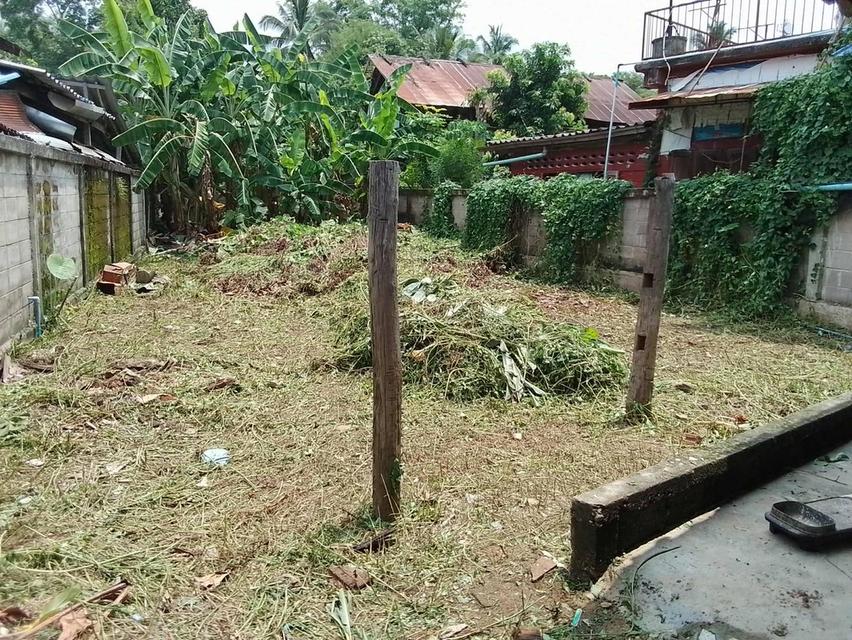 ขายบ้านพร้อมที่ดิน อ.แม่อาย 79ตารางวา ติดถนนสายฝาง-ท่าตอน (โฉนดครุฑแดง) เจ้าของขายเอง 3