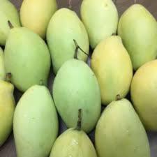 มะม่วงโชคอนันต์ น้ำหนัก 3 กิโลกรัม  6