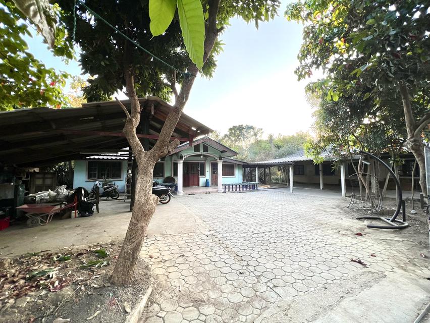 บ้านพร้อมที่ดิน ถวาย หางดง เชียงใหม่ 1