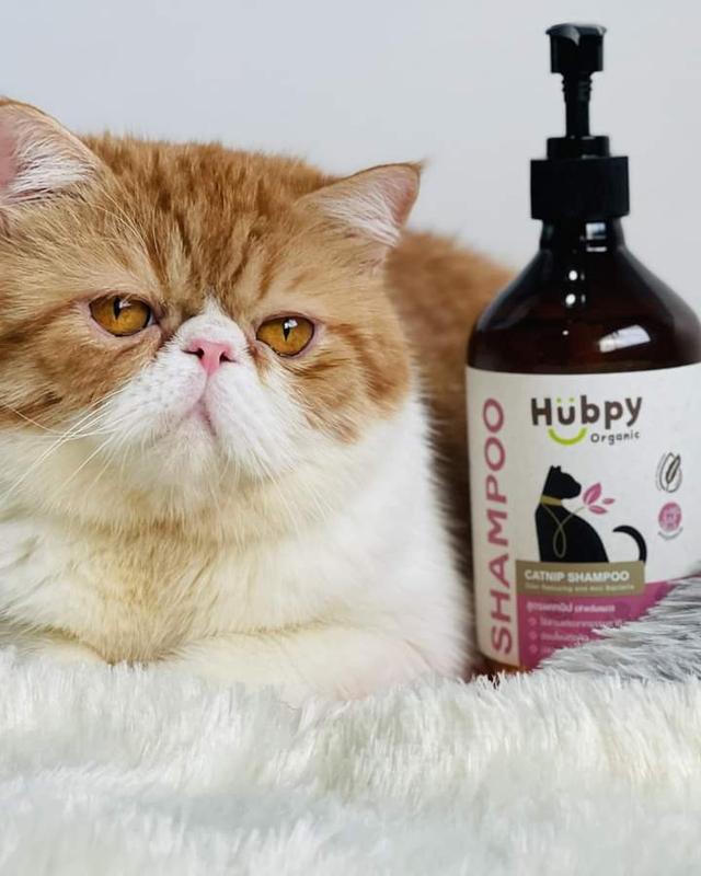 CAT Shampoo Biosal & Copper Peptide  3