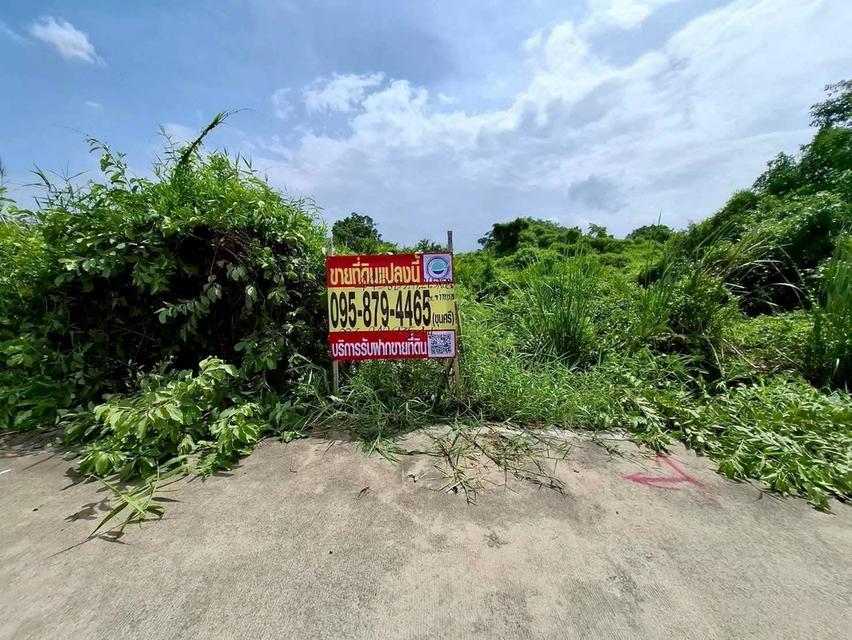 Vายถูกที่ดินถนนบางปลา 445 ตารางวา ติดถนนคอนกรีตสาธารณะ เทศบาลบางปลา ซอย 15,17 เมืองสมุทรสาคร 2