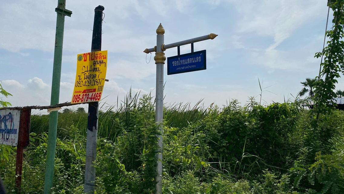 ร้อนเงินVายถูก ที่ดินบ้านกลาง 244 ตารางวา ติดถนนคอนกรีตสาธารณะ ซอย โม่ฮวด 7 เมืองปทุมธานี 10