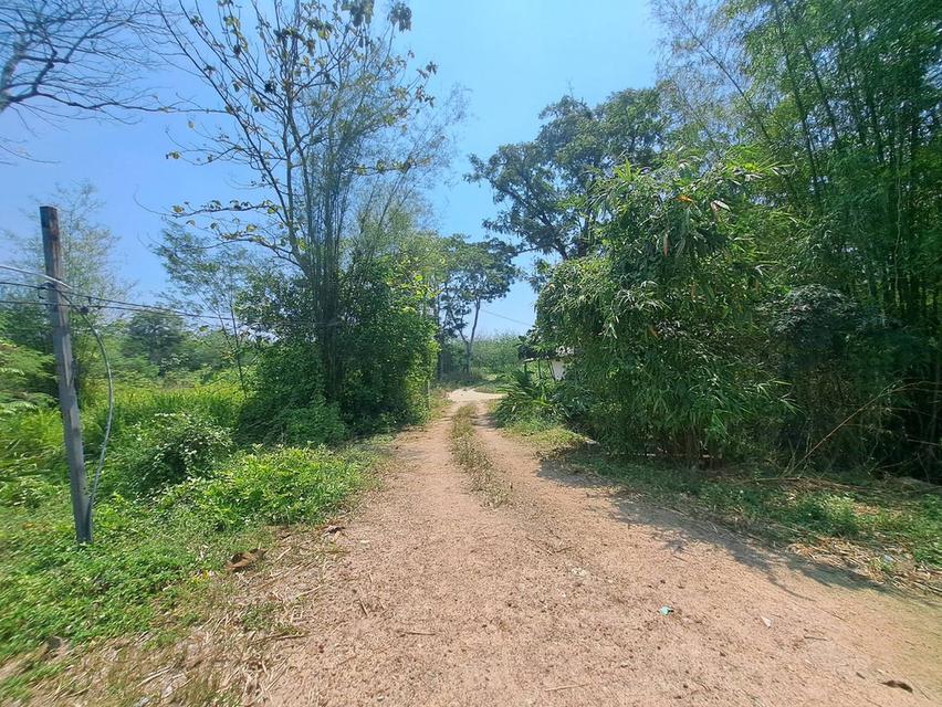 ขายที่ดินระยอง ที่ดินนิคมพัฒนาซอย11สาย15 เนื้อที่ 49-3-77.8 ไร่ ใกล้นิคมWHA36และBYDระยองเพียง 3.5 กม.รูปแปลงสวย 6