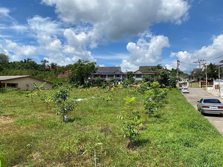 ปล่อยเช่า ที่ดิน 2 ไร่ ทำเลทองหาดใหญ่ อยู่ในชุมชน ใกล้ โรงเรียน มอ.วิทยานุสรณ์ (ห่างเพียง 1 กม.) 2