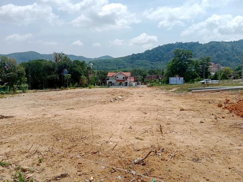 ที่ดิน จังหวัดภูเก็ต 3