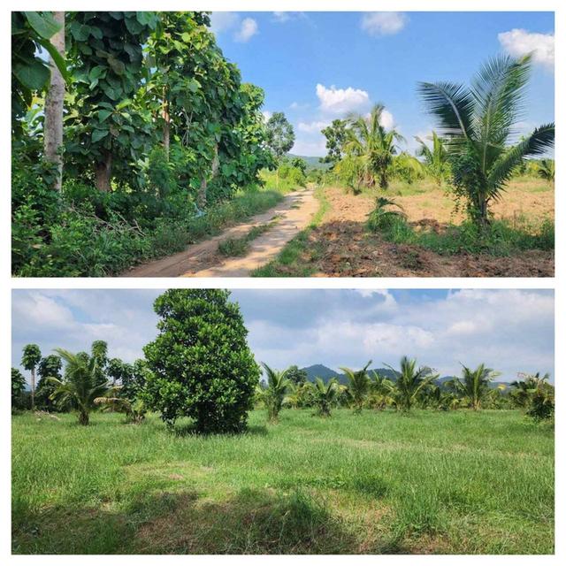 ขายที่ดิน จอมบึง หมู่บ้านซอนต้า จ.ราชบุรี ใกล้อ่างเก็บน้ำซอนต้า บรรยากาศดี 3