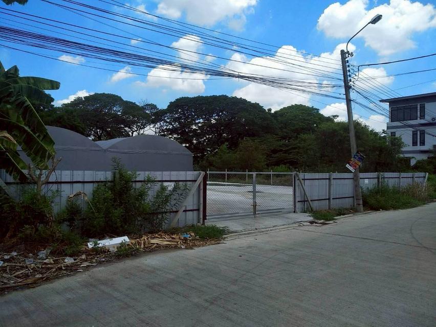 ขายที่ดินอ่อนนุช53 พัฒนาการ ศรีนครินทร์ สุขุมวิท77 252ตร.ว ถนนหน้าที่กว้าง สร้างอพาร์ทเมนท์ได้ น้ำไม่ท่วม ใกล้ซีคอน สวนหลวงร.9 0879074045 4