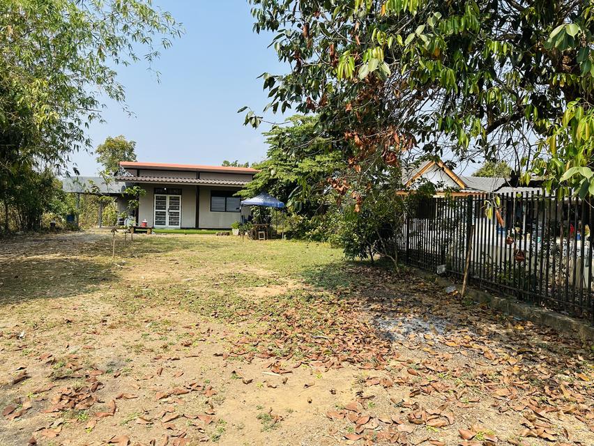 บ้านเดี่ยว 2 ห้องนอน 1 ห้องน้ำ 4