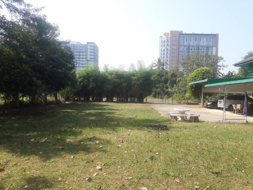 ขายบ้านพร้อมที่ดิน บ้านไม้สัก