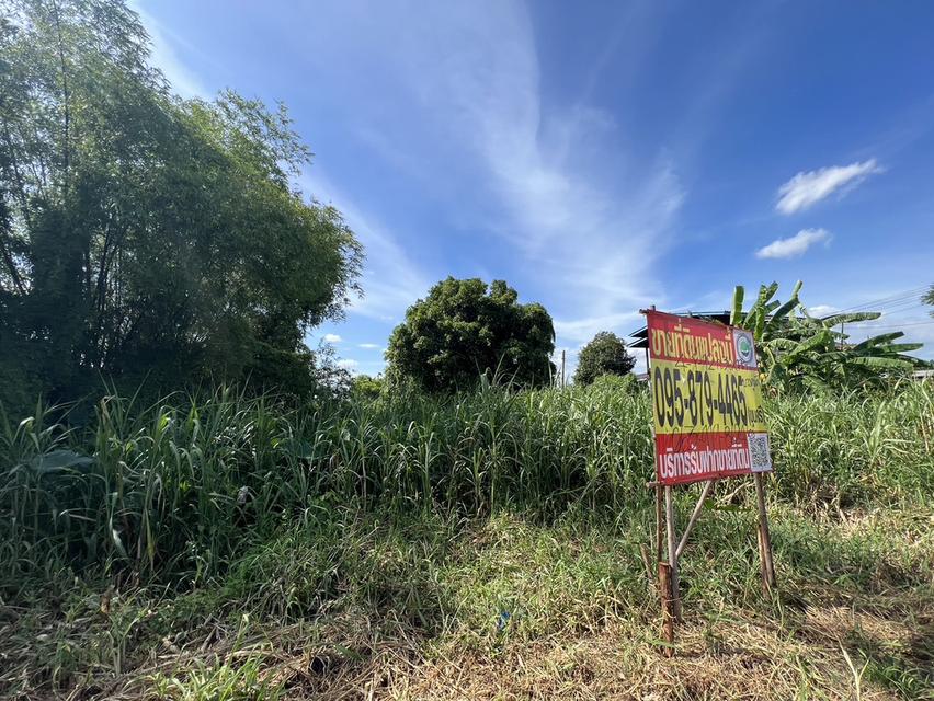 ที่ดิน 4 ไร่ 1 งาน ปทุมธานี บางคูวัด 3