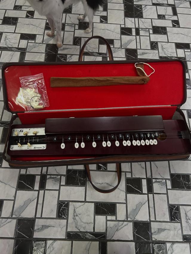 พินญี่ปุ่นไทโชโกะโตะ พร้อมกล่อง พร้อมสาย สภาพสมบูรณ์ 9