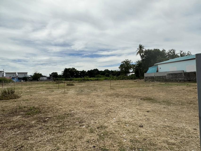 ขายที่ดินหนองขามถมแล้ว 3 ไร่ ติดถนนซอย6ชุมชนหนองค้อ ใกล้นิคมปิ่นทอง2-4กม.ใกล้ท่าเรือแหลมฉบัง-13กม. อ.ศรีราชา ชลบุรี 4