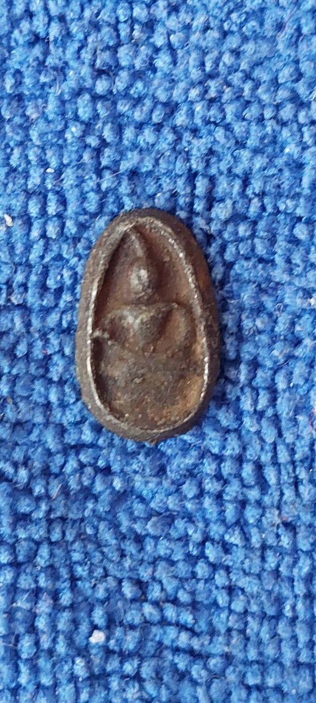 พระพิจิตรเม็ดข้าวเม่าพิมพ์แขนกลม รูปที่ 7