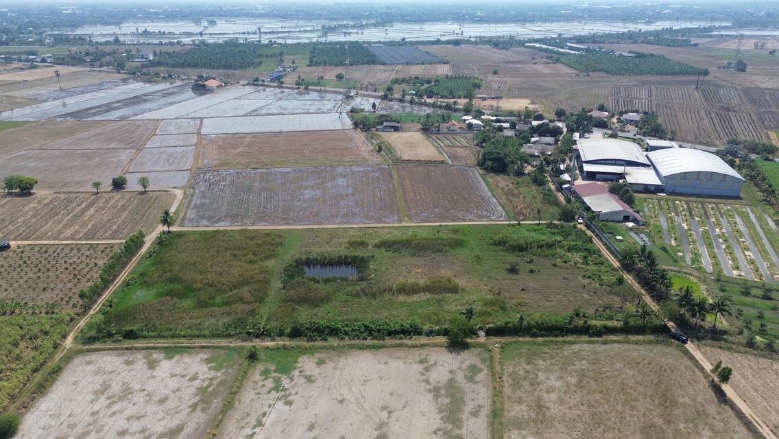 🔥 ขายที่ดินโฉนดแปลงใหญ่ 9 ไร่ ใกล้มอเตอร์เวย์ M81 กาญจนบุรี ทำเลศักยภาพสูง เหมาะลงทุน 🔥 5