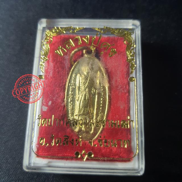 รูป เหรียญหลวงปู่ศุข(ยืน) วัดปากคลองมะขามเฒ่า