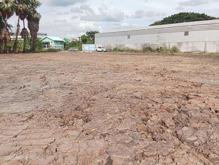 ที่ดินสวย 1-3-51 ไร่ ผังสีม่วงลาย ถนน 340 บางบัวทอง-สุพรรณบุรี บางบัวทอง นนทบุรี 2