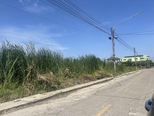 อสังหา 1