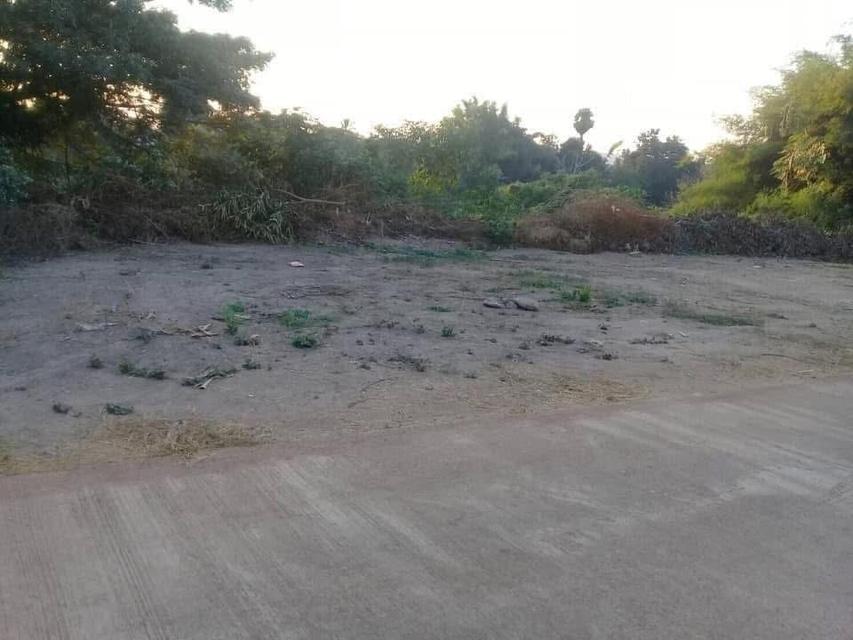 ที่ดิน สุโขทัย