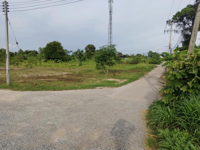 ขายที่ดินหมอนนาง 1 ไร่ ถมแล้ว ซอยสิบสองพัฒนา37 ใกล้แยกหนองเสม็ด-5กม. อ.พนัสนิคม ชลบุรี 8