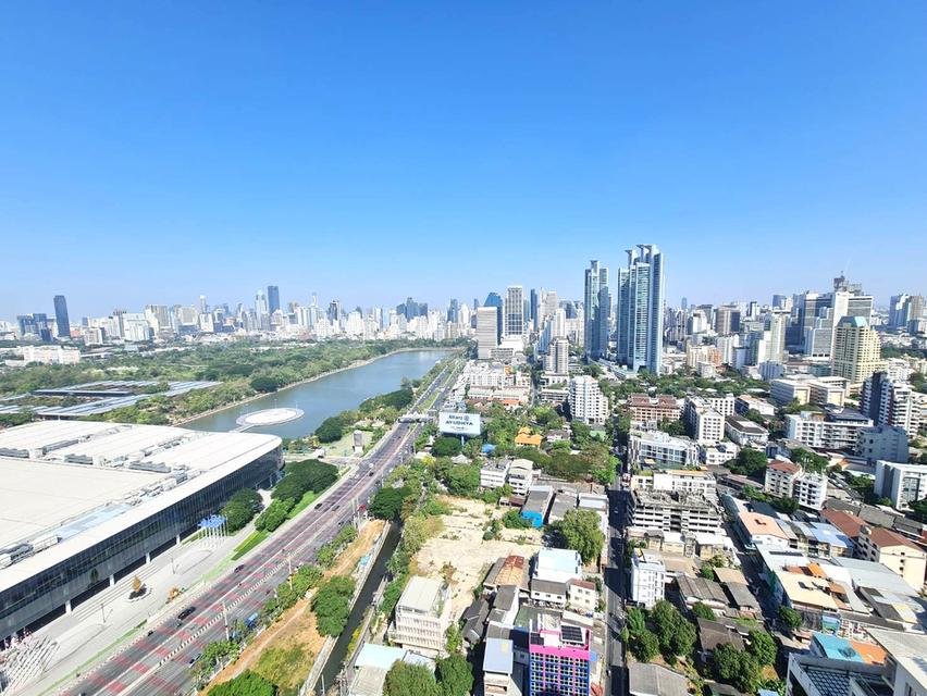 ไซมิส เอ๊กซ์คลูวีฟ ควีนส์ 12