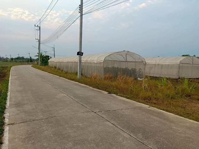 ขายที่ดินเปล่า ทำเลสวย เนื้อที่ 8 ไร่ ที่ตั้ง : ต.หนองบอนแดง อ.บ้านบึง จ.ชลบุรี 6