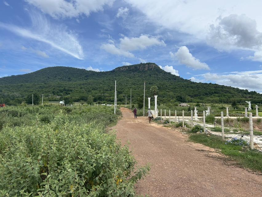 ที่ดิน Valley View แก่งกระจาน  เพชรบุรี สด ผ่อนได้ 9