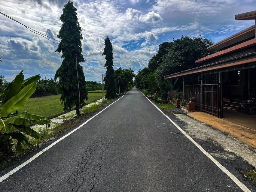 ขายที่ดินทำเลดี รังสิต–นครนายก ขนาด 100 ตร.ว เพียง 350,000 บาท (ราคาถูกที่สุดในโซน!) 4