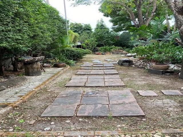 ให้เช่า บ้านเดี่ยว โซนลาดพร้าว บางกะปิ ซอยลาดพร้าว126 บ้านหลังใหญ่มีพื้นที่ ขนาด 200 ตารางวา ให้เช่าตามสภาพ 3