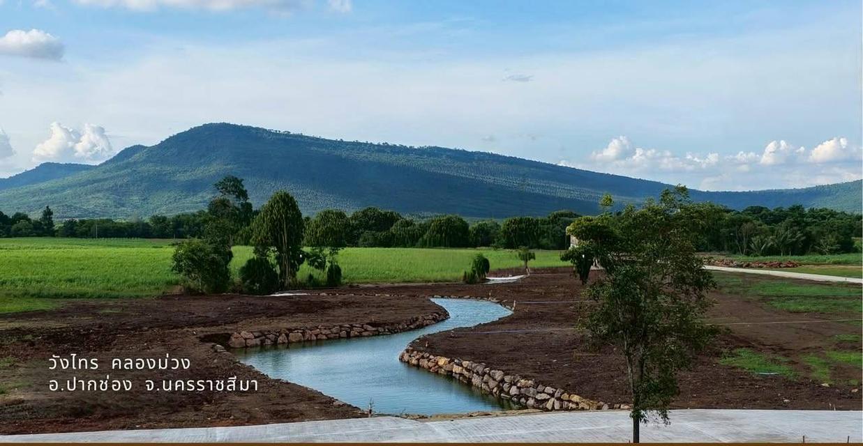 ขายที่ริมน้ำ วิวเขา วังไทร คลองม่วง ปากช่อง ที่ติดน้ำใกล้ภูเขา วิวเขาล้อมรอบ วิวเขายายเที่ยง นครราชสีมา น้ำไฟพร้อม 0879074045 3