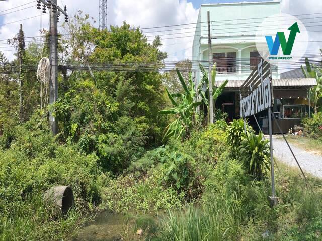 ขายที่ดินติดถนนเอเชีย ข้างโชว์รูมฟอร์ดพัทลุง 6