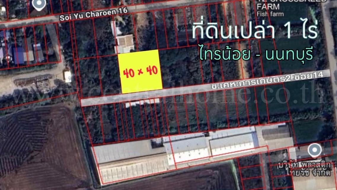 ที่ดินเปล่า 1 ไร่ หนองเพรางาย - ไทรน้อย นนทบุรี ขายถูก 6