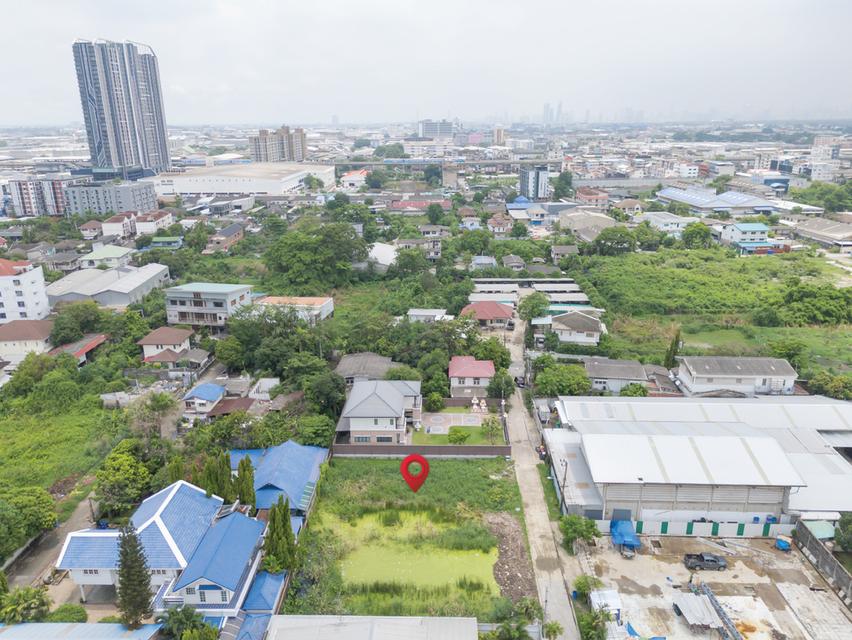 ที่ดิน ซอย สุขุมวิท 115 BTS ปู่เจ้า เทพารักษ์ สมุทรปราการ 7