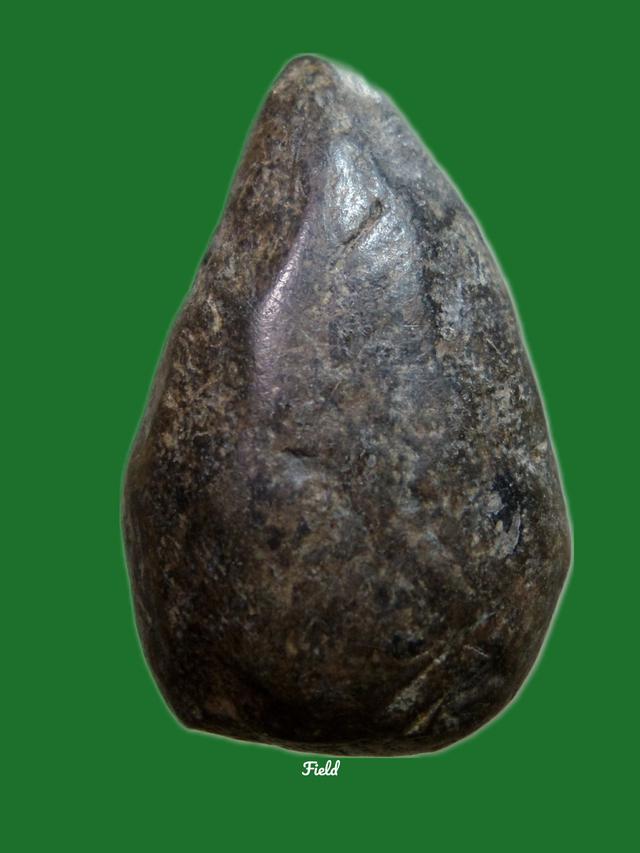 กำแพงกลีบบัวเนื้อดำ 2