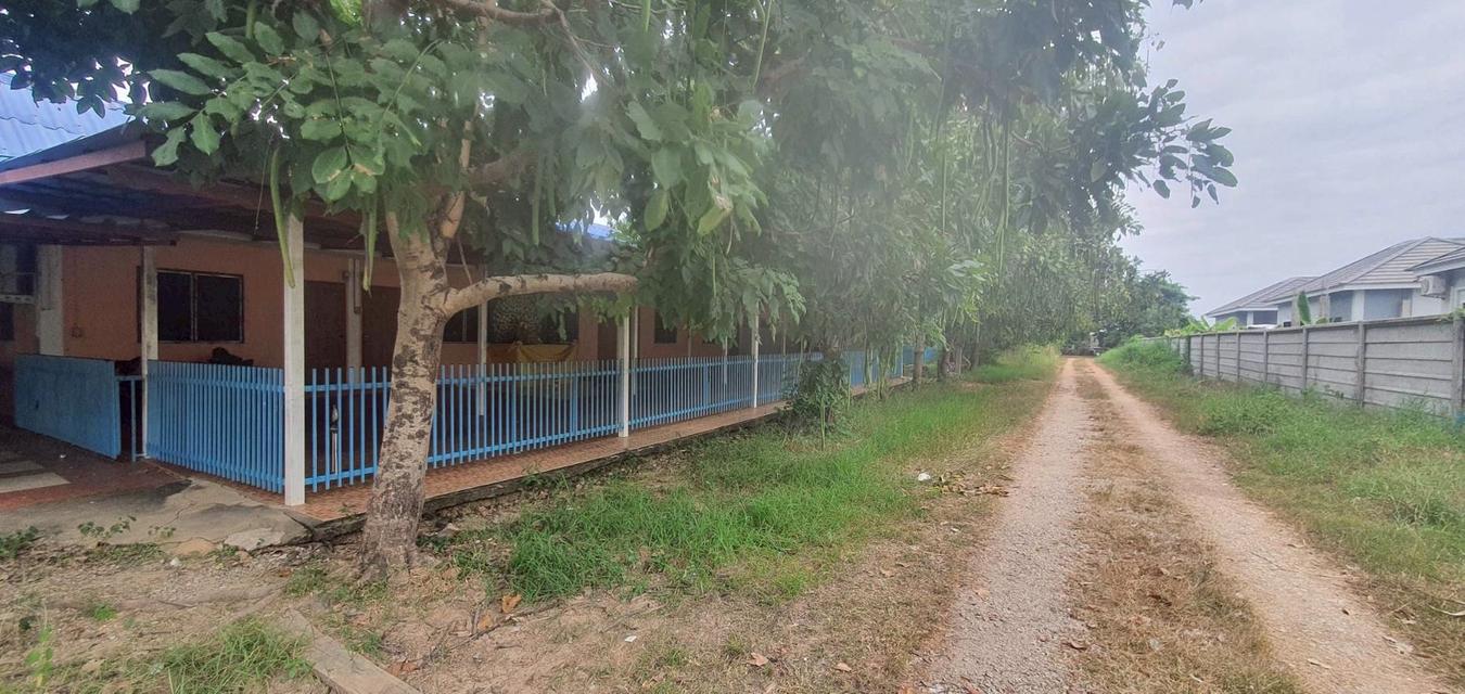 บ้านพร้อมที่ดินทำเลทอง ใกล้เซ็นทรัลพิษณุโลก 8